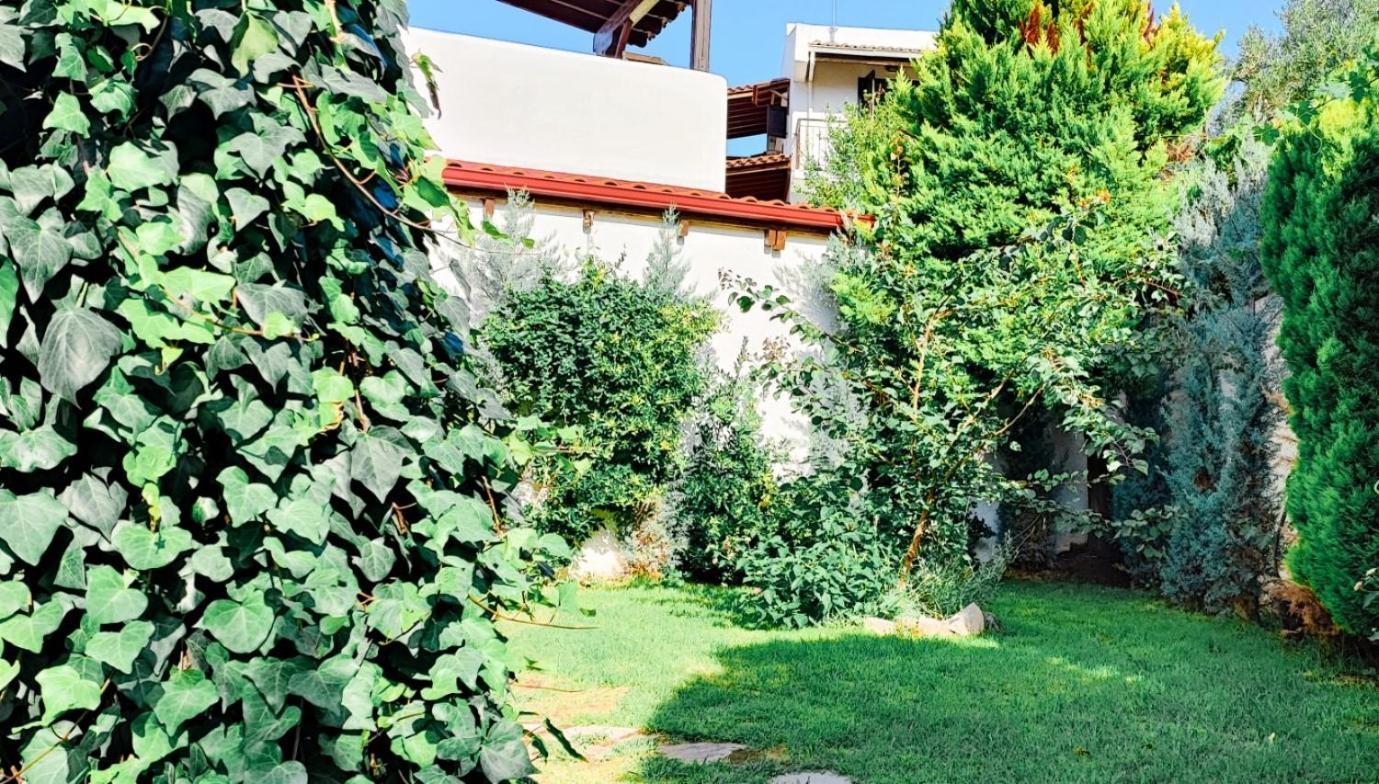 Trikorfo Bungalows Gerakini Extérieur photo